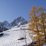 Stella Alpina Tano Di Grich