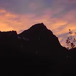Stella Alpina Tano Di Grich *