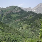Stella Alpina Tano Di Grich *