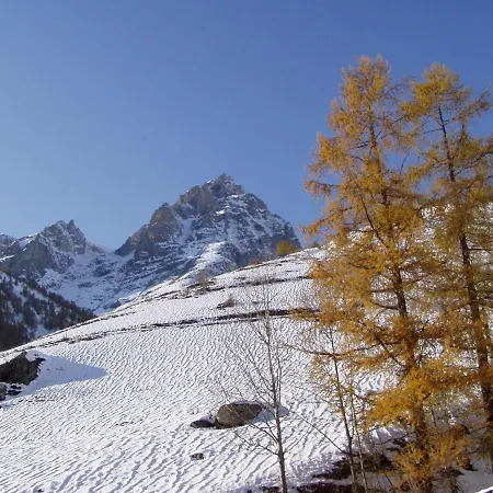 Stella Alpina Tano Di Grich