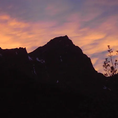 Stella Alpina Tano Di Grich *