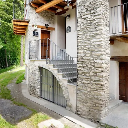 Stella Alpina Tano Di Grich