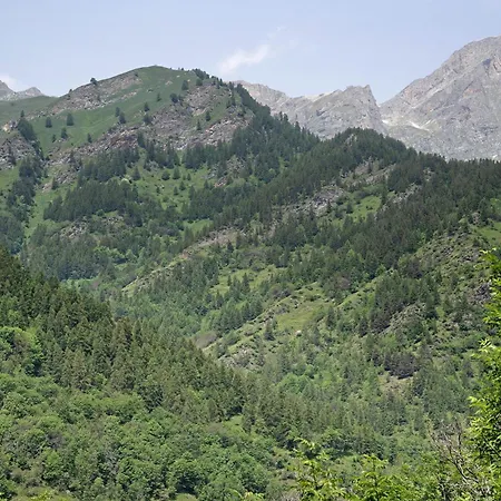 Stella Alpina Tano Di Grich *