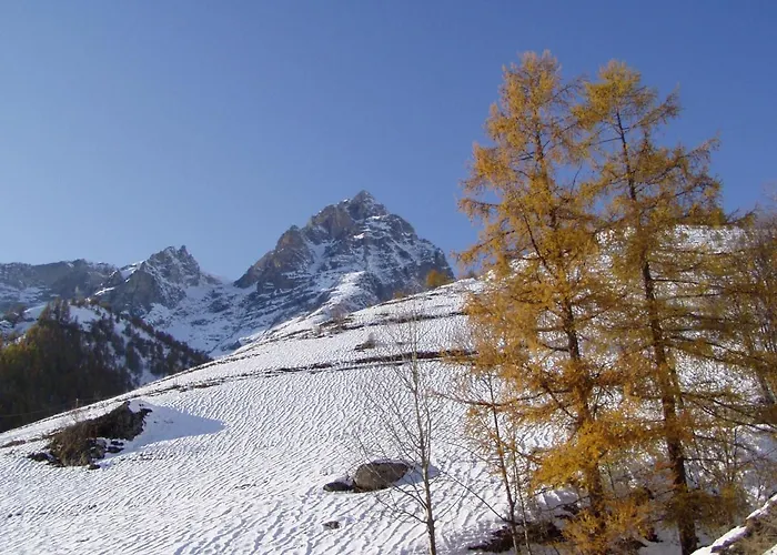 Stella Alpina Tano Di Grich