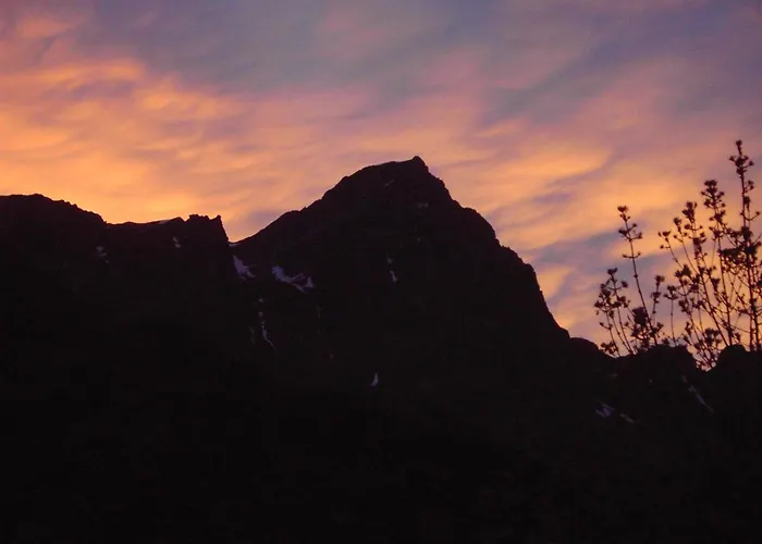 Stella Alpina Tano Di Grich *