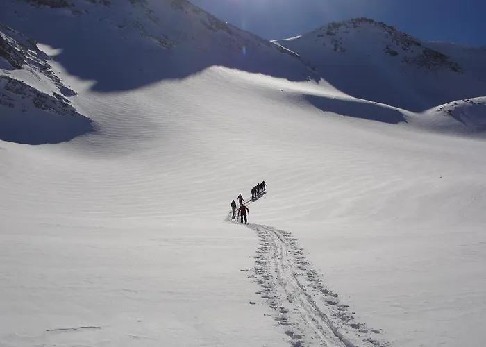 Stella Alpina Tano Di Grich *