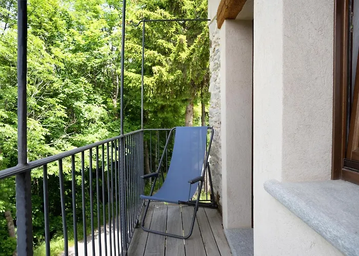 Stella Alpina Tano Di Grich