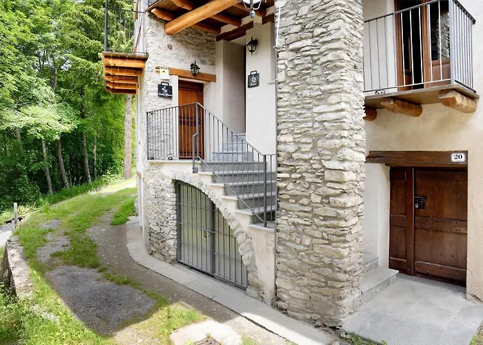 Stella Alpina Tano Di Grich