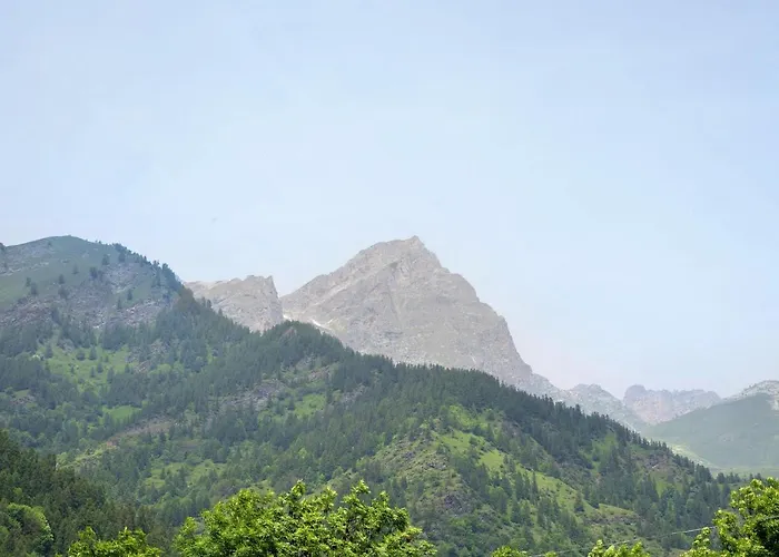 Stella Alpina Tano Di Grich Cesani